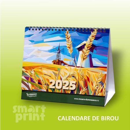 Calendare, Plannere