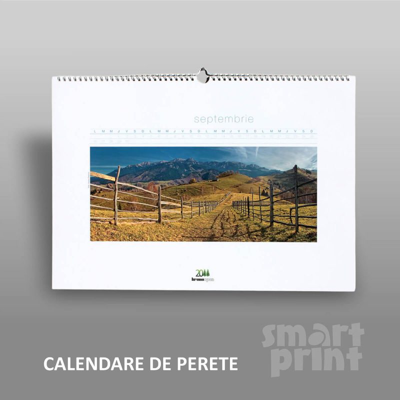 Calendare, Plannere - imagine 3