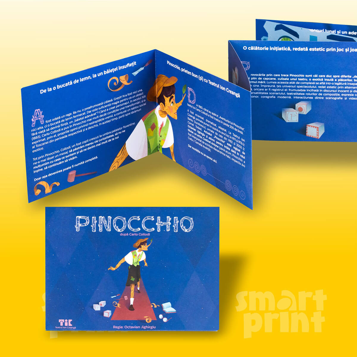 Pliante, Flyere, Afișe - imagine 2